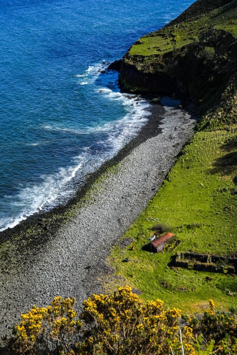 A sunlit green slope meeting a rocky beach and blue water