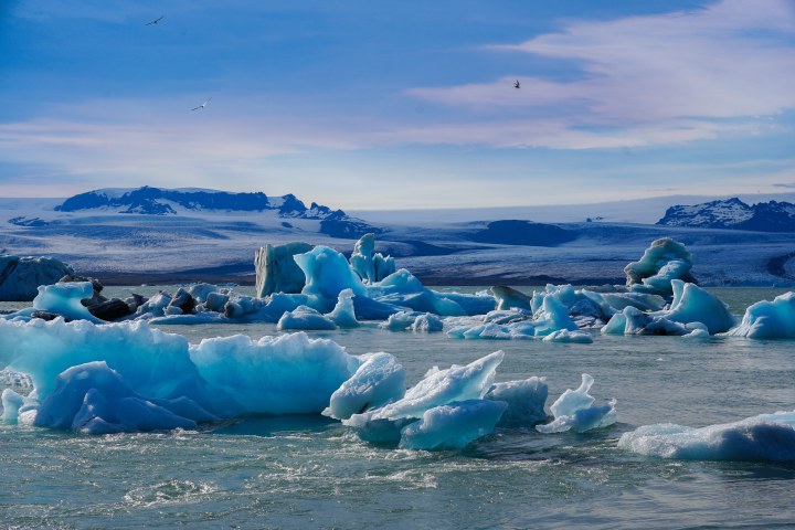 Blue icebergs floating across a still glacial lagoon